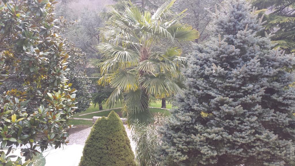 Bed and Breakfast Fontana Vecchia Atina Экстерьер фото
